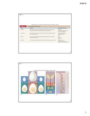 Genetics of Cellular Function Ch.4 Flashcards